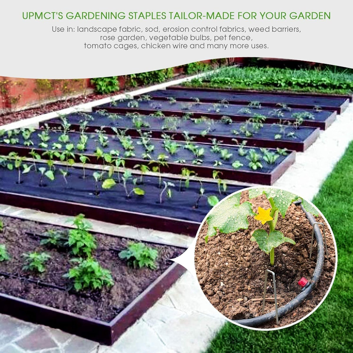 12 Inch Galvanized Garden Landscape Staples Stakes, 25 50 100 PCS Anti-Rust Garden Staples U-Shaped Landscape Pins for Secure Lawn Fabric (50, 12 Inch)