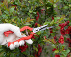 Sanung 2 PACK Multifunctional Thin Fruit Scissors, P-905 Garden Pruner Shears Cutters with Anti-Slip Grip High-Grade Spring Lock Garden Pruner for Garden Fruits Vegetables Plants Flowers