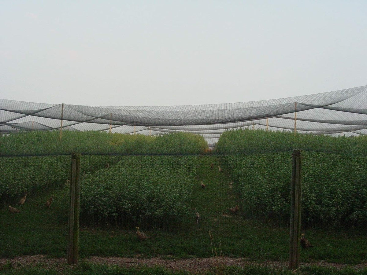 Excursions Aviary Netting 1" Heavy Knotted Poultry Net (12.5' x 100')