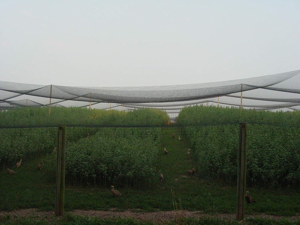 Excursions Aviary Netting 1" Heavy Knotted Poultry Net (25' x 50')