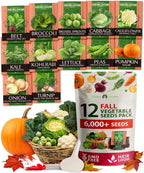 HOME GROWN 12 Fall Vegetable Seeds 6,000+ 𝗨𝗦𝗔 Heirloom 𝗡𝗢𝗡-𝗚𝗠𝗢 Seeds for Fall & Winter Planting – Beets, Broccoli, Cabbage, Kale, Onion, Pumpkin, Turnip, Lettuce, Peas & More for Home Garden