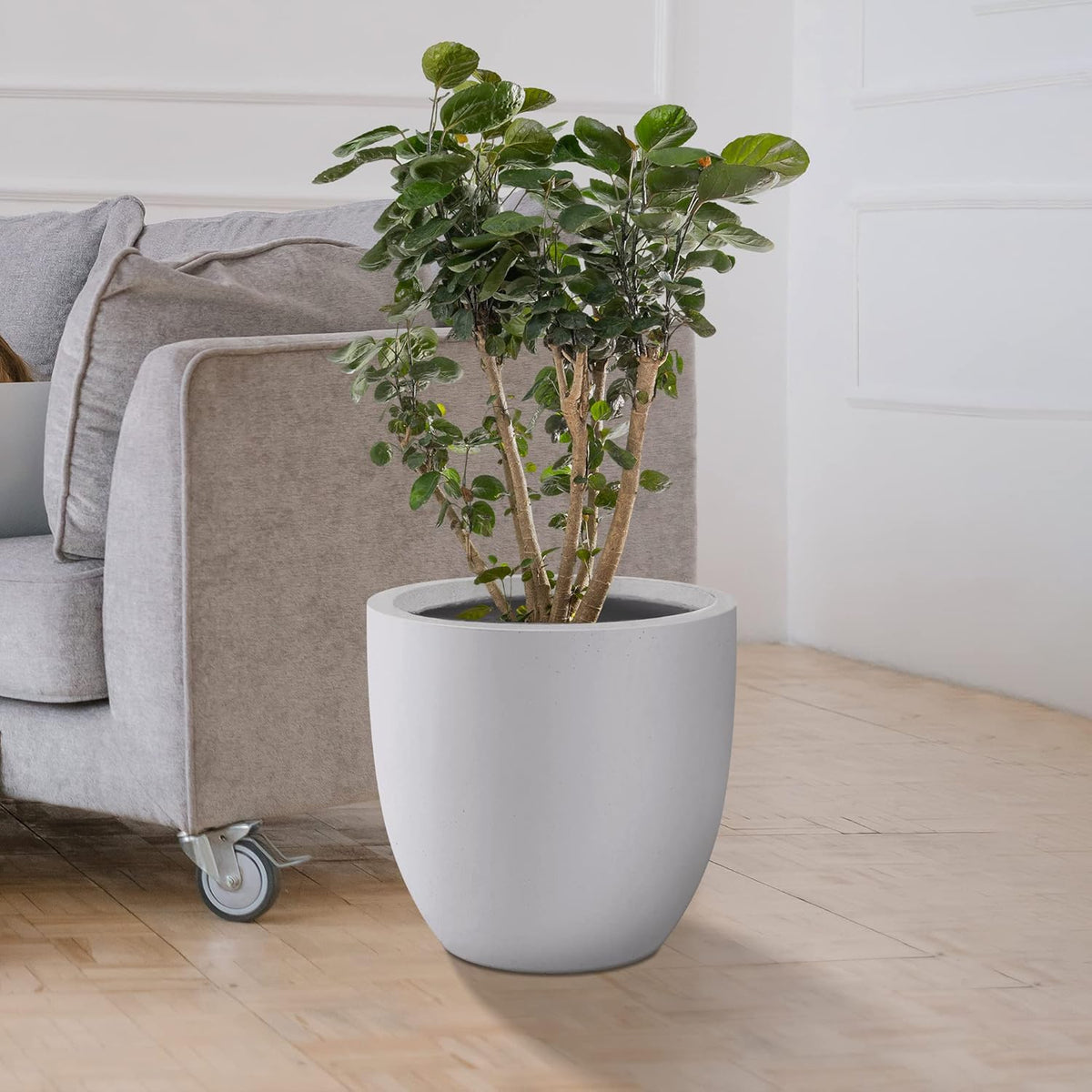 Kante 10 Inch Dia Round Concrete Planter, Indoor Outdoor Large Plant Pot with Drainage Hole and Rubber Plug for Home Patio Garden, Pure White