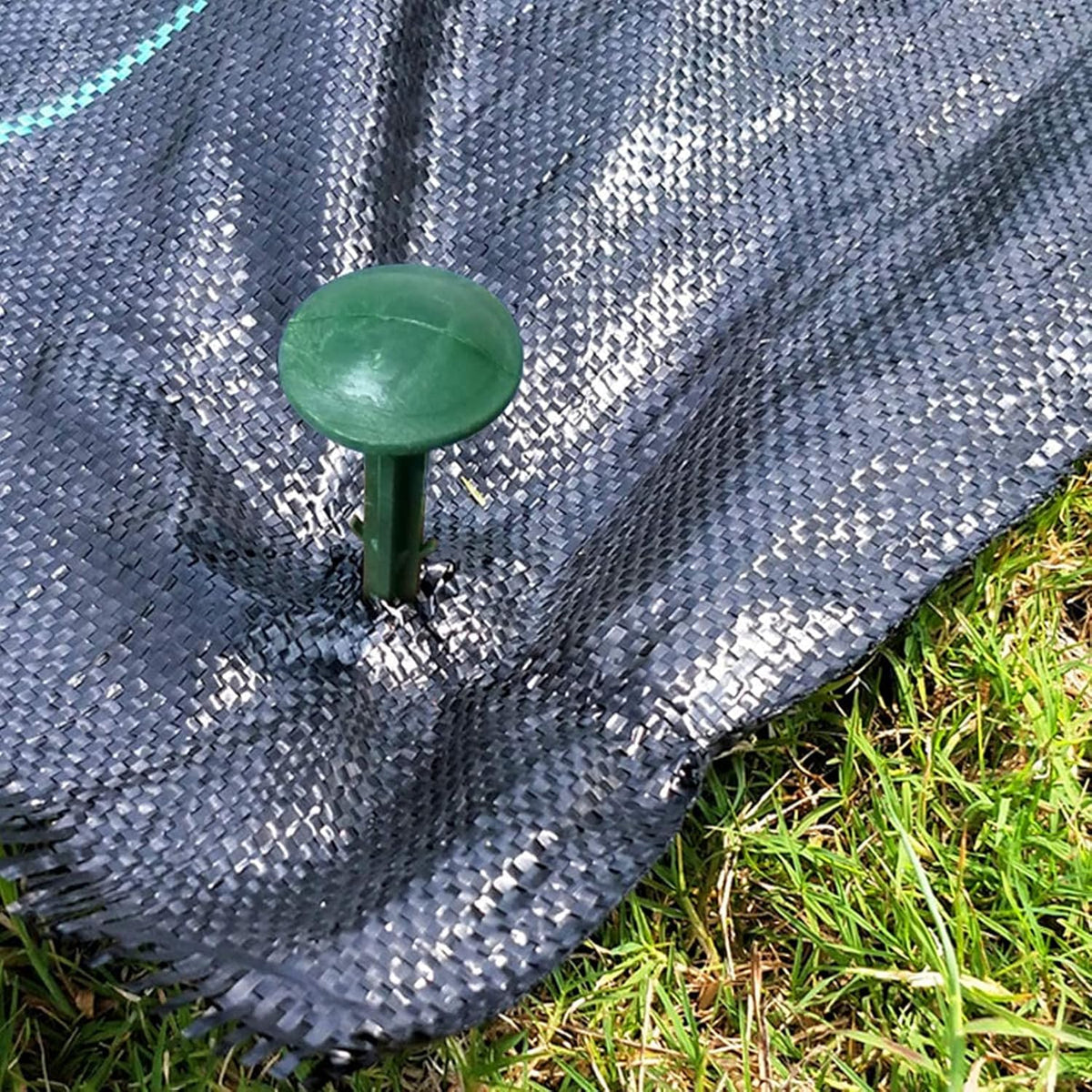 6-Inch Plastic Stakes Sturdy Plastic Stakes Anchors Rustproof for Holding Down Landscape Fabric Lawn Edging,Weed Barrier, Tents,Game Nets and Rain Tarps (50)