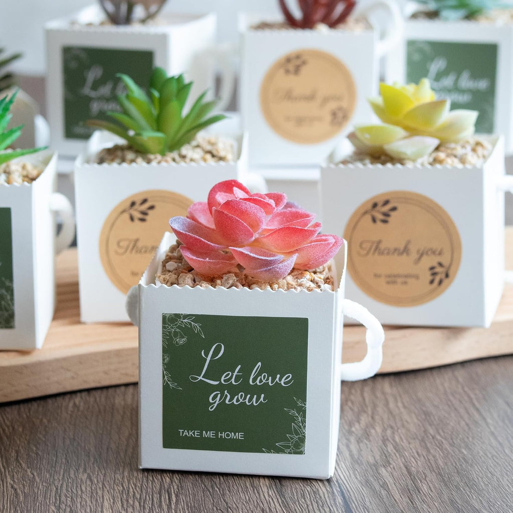 Temlum 2.5 Inch Succulent Wrap Bags (Fits 2.5″ Pots) with Thank You & Let Love Grow Stickers, Small Gift Box for Wedding, Baby Shower, Succulent Party Favors for Guests (White 100pcs)