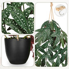 Large Fake Hanging Plants in Pot with Hook, 37" Artificial Hanging Begonia Vines Plants, Fake Potted Tropical Plants for Room Wall Living Room Bathroom Kitchen, Big Faux Ivy Houseplants for Shelf