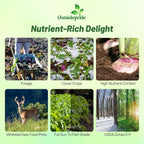 Outsidepride Purple Top Turnip Seeds - 10 Lbs High-Yield, High Protein Turnip Seed, Ideal Cover Crop, for Forage, Grazing Livestock, High Energy Deer Food Plot & Soil Improvement