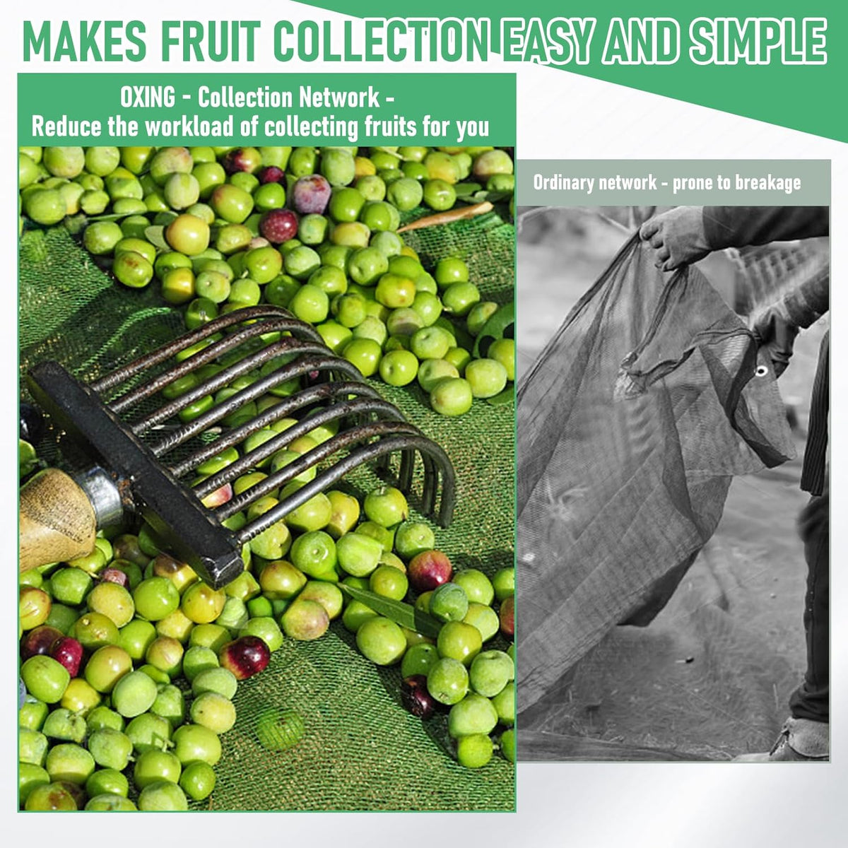 Fruit Collector Harvesting Net - 13.1 x 13.1 ft Green Agricultural Harvest Netting for Walnut, Olive, Chestnut, Plum, and Hazelnut - Easy Picking & Reusable Collection Net (4x4m)