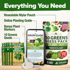 HOME GROWN 11,500+ Heirloom Lettuce Seeds - 10 Varieties Including Romaine, Buttercrunch, Iceberg, Kale & Spinach - Non-GMO USA Seeds for Planting Indoor, Outdoor & Hydroponic Gardens