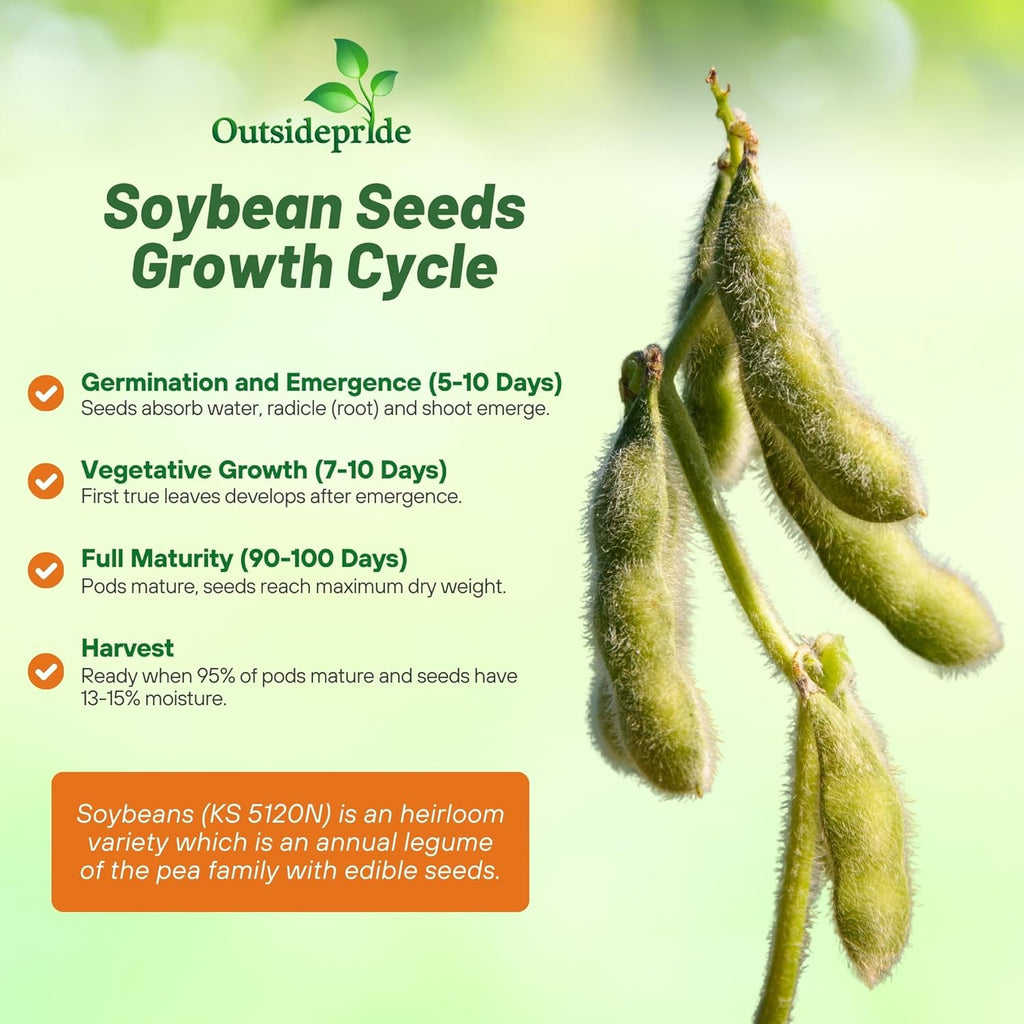 Outsidepride Soybean Seeds - 50 lbs High-Protein & High Yield Heirloom Variety Soy Beans, Ideal for Oil Processing, Forage, Animal Food Plots, & Wildlife Feed for Poultry & Other Farm Animals