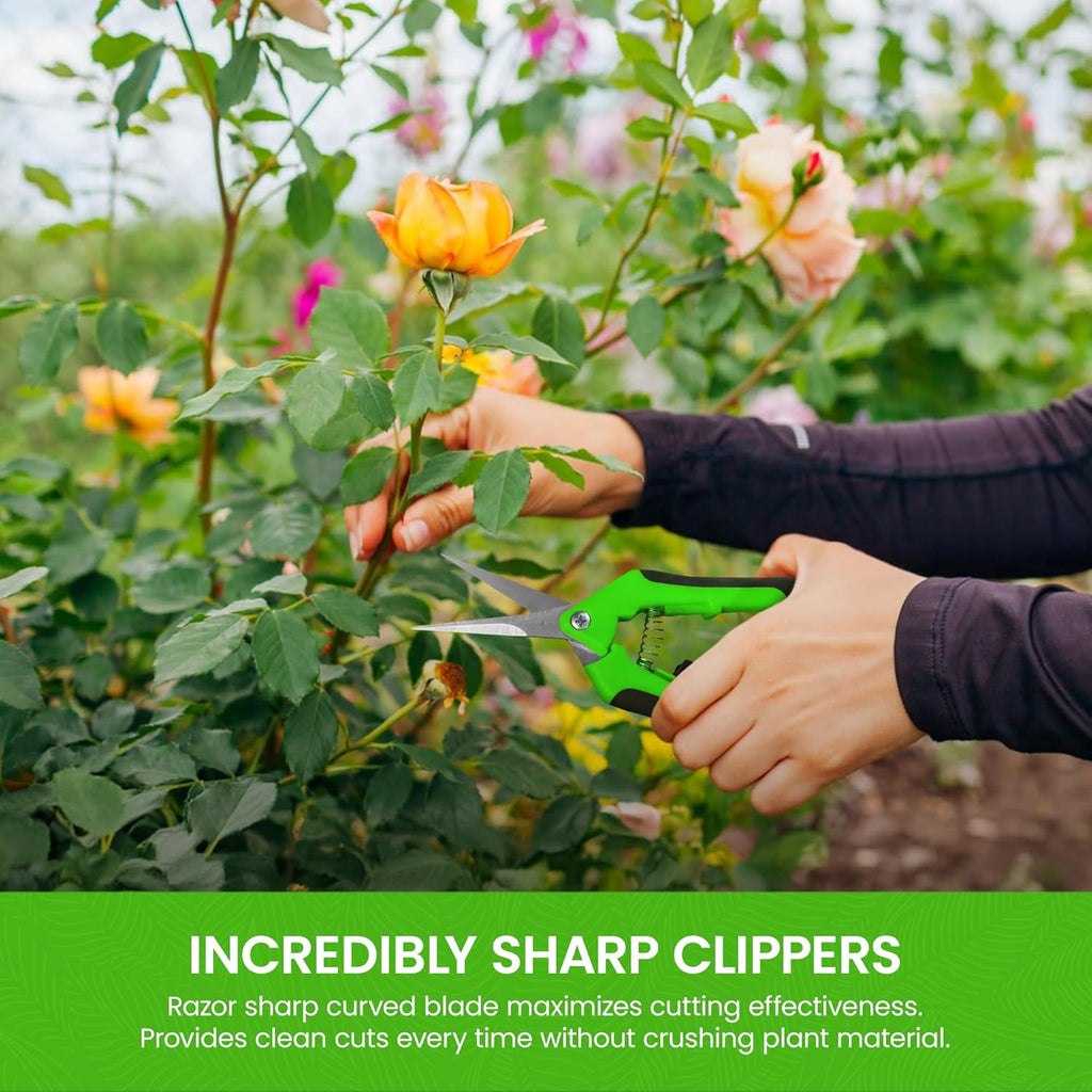 Garden Guru Razor Sharp Snip – Professional Garden Pruning Shears Trimmers Scissors – Super Sharp Micro-Tip Precision Stainless Steel Blades - Easy on Arthritic Hands - Soft Ergonomic Handles (2 Pack)