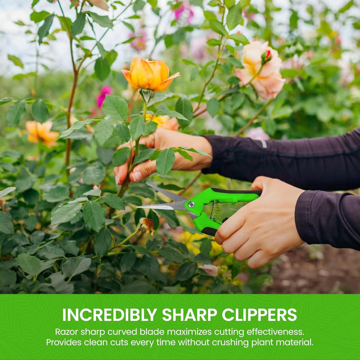 Garden Guru Razor Sharp Snip – Professional Garden Pruning Shears Trimmers Scissors – Super Sharp Micro-Tip Precision Stainless Steel Blades - Easy on Arthritic Hands - Soft Ergonomic Handles (2 Pack)