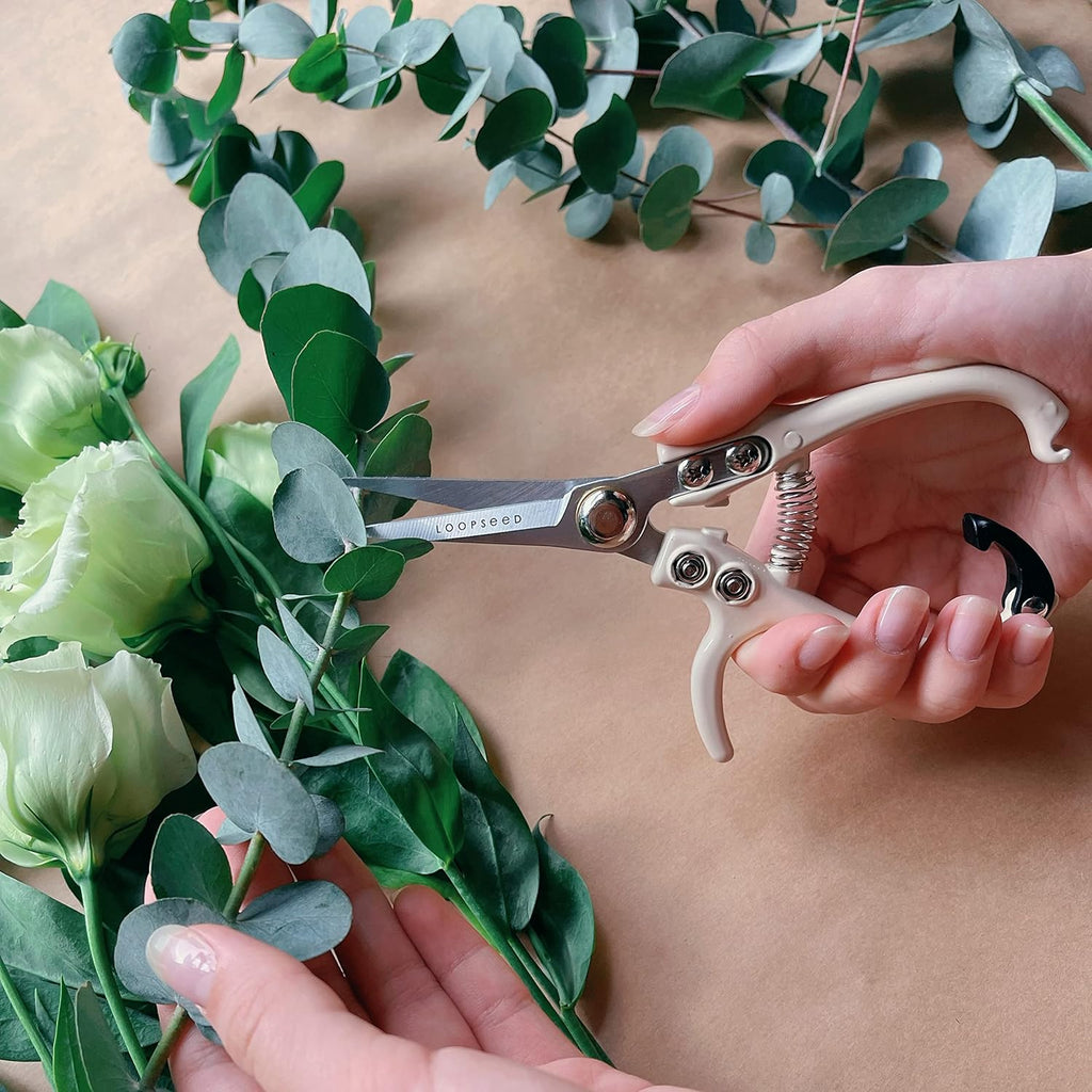 Plant Pruning Shears Garden Trimming Scissors Precision Hand Pruner Herb Snips Flower Clippers Bonsai Trimmers Straight Sharp Blade Tapered Tip Ergonomic Handle Garden Tools (Classic Cream)
