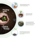 Mother's Day Greeting Card – Plantable Wildflower Seed Paper for Mother's Day, Gifts, & Special Events