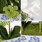 Briful Orchid Artificial Flowers 18in White Fake Orchid Silk Flowers with Blue and White Ceramic Vase Faux Orchid Arrangement for Home Office Room Coffee Table Centerpiece Modern Decor