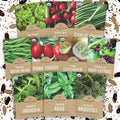 Organic Container Garden Seeds Variety Pack - 10 Individual Packs - 2025 Season - Ruquette arugula, Genovese Basil and More! for Indoor & Outdoor Planting (Non-GMO, Certified Organic)