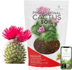 Professional Cactus Soil | Large 2.2 Quarts Ready to Use for Cactus Plants | Peat Moss, Coco Coir, Perlite, Dolomite | Made in USA