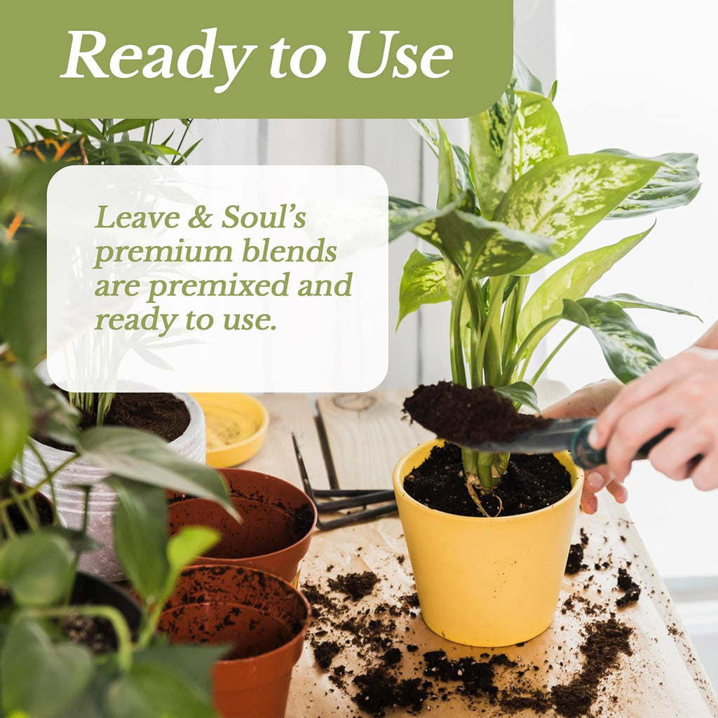 Extra Large 8.2 QT Bag Succulent Soil Premium All Purpose Blend | Pre-Mixed Ready to Use for Cactus and Succulents | Canadian Peat, Course Sand, Pinebark | Made in USA