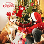 Dog Stocking with Initials，Bone Christmas Stocking with Letters,Large Knit Embroidered Monogram Christmas Stocking for Dogs Cats,Xmas Stockings for Pets Red M