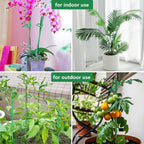Belit 8 Pack Small Plant Support Plant Stakes, Adjustable Garden Single Stem Support Stake, Planter Support Ring for Orchid, Rose, Peony, Peppers and More, DIY 31.5 inch