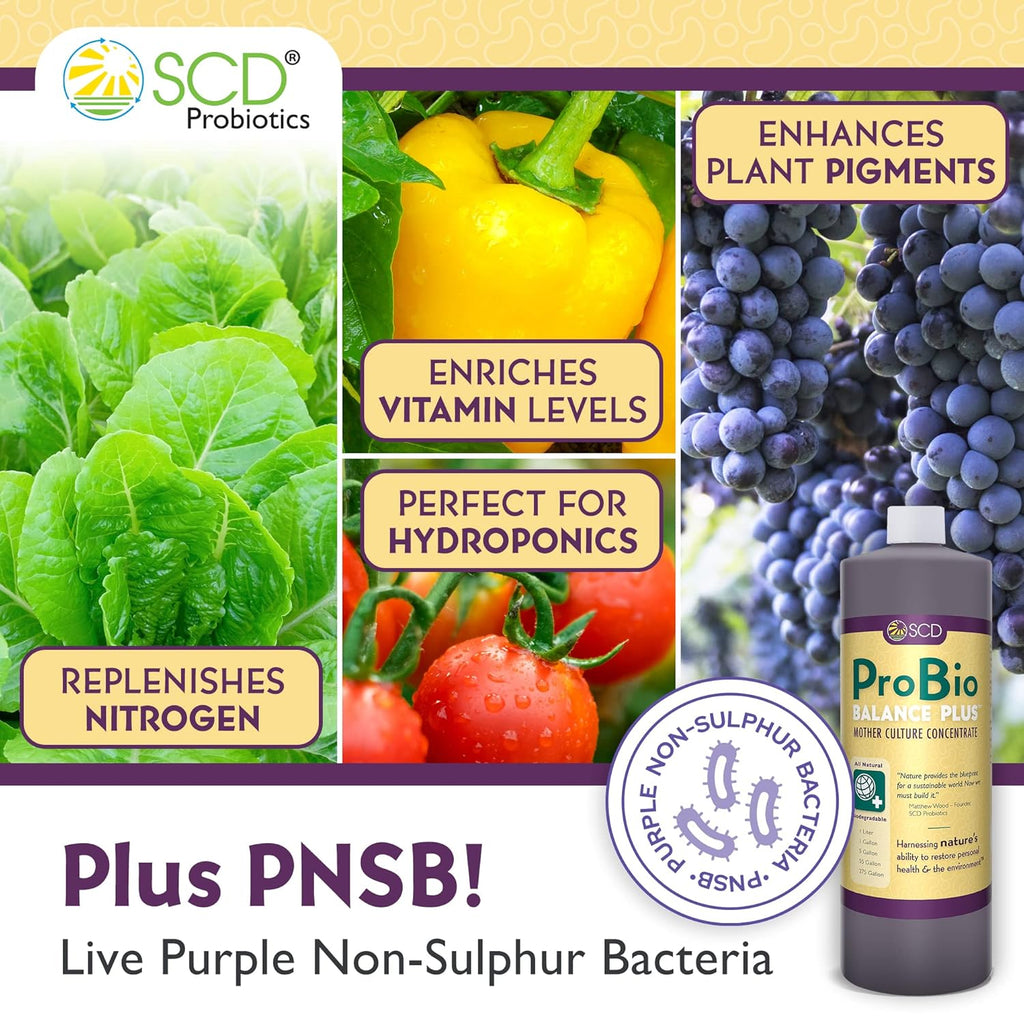 ProBio Balance Plus - Make 20X More Soil Conditioner, Super Concentrate of Effective Beneficial Microorganisms & PNSB Phototrophs - OMRI Listed for Organic Farm Lawn Garden - 1 Liter (4 Pack)