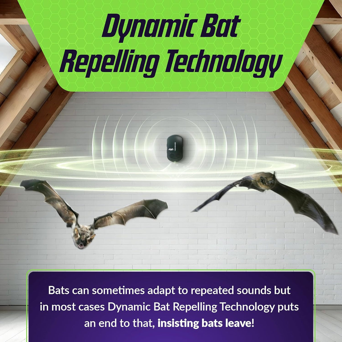 BWZ600 Direct Ultrasonic Bat Repeller - Featuring Bat-ZoneZonic™ Frequency Control for Precise Repelling of Bats (Midnight Black)