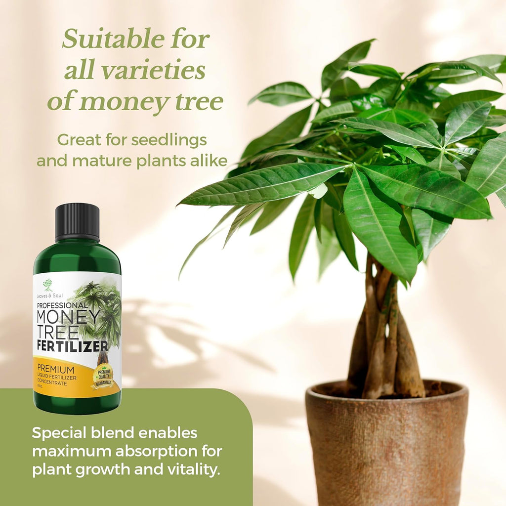 Professional Liquid Money Tree Fertilizer | 3-1-2 Concentrate for Plants and Flowers | Multi-Purpose Blend & Gardening Supplies | 8 oz Bottle
