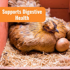 WormStop Natural Chicken Dewormer Powder – All-Natural Herbal Blend for Daily Wellness - Chicken Wormer is Safe for Eggs & All Ages - Garlic, Pumpkin Seed, Wormwood - USA (8 oz)
