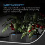 AC Infinity Heavy Duty Fabric Pots, 10 Gallon Aeration Reusable Grow Bags 5-Pack with 500G Thick Nonwoven Fabric and Multi-Purpose Rings, for Low Stress Plant Training Fruits, Vegetables, and Flowers