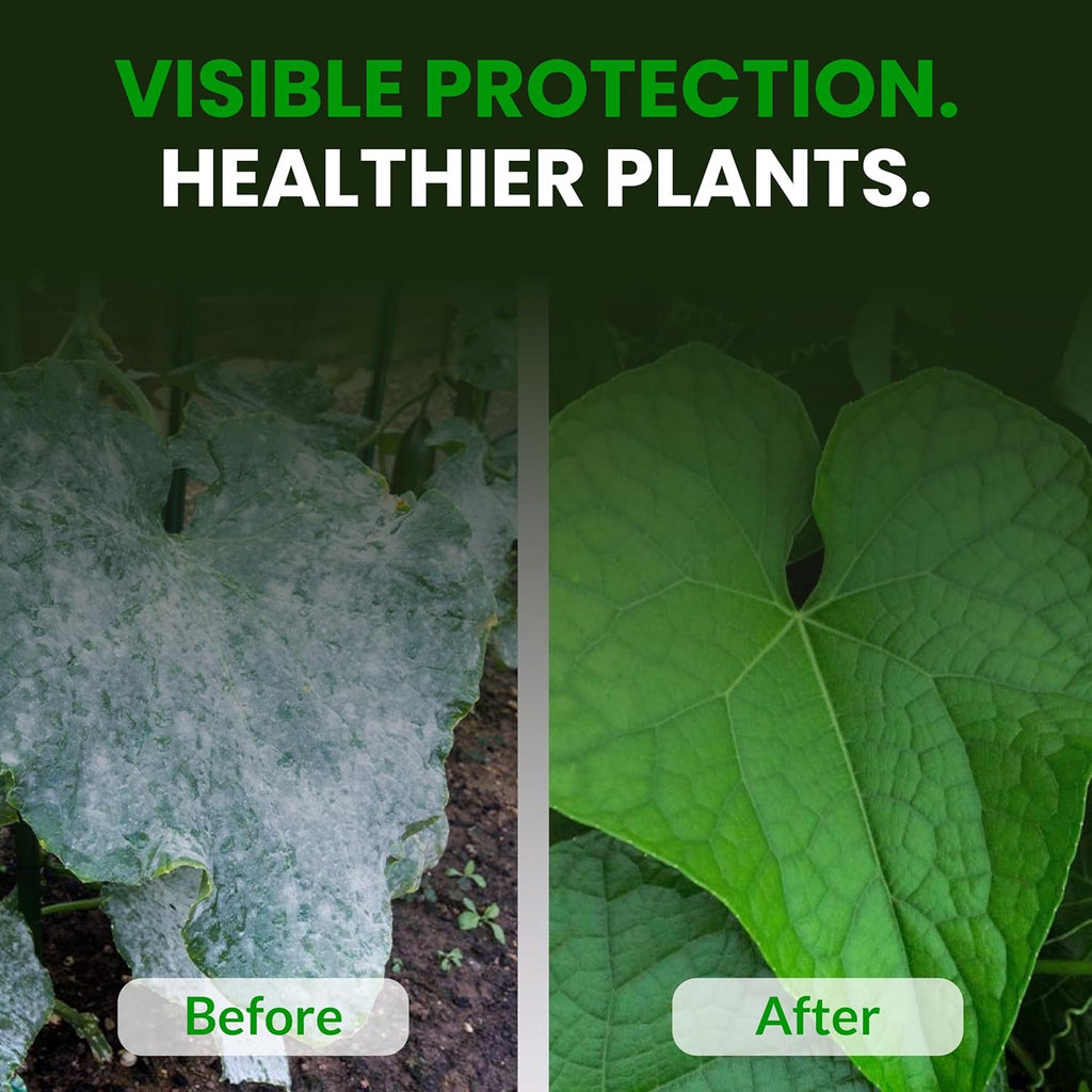 Humboldts Secret Flower Shield | Insecticide, Pesticide, Miticide, Fungicide | Bug Spray for Plants | Spider Mite & Powdery Mildew Control | Indoor & Outdoor | Houseplant & Garden | 8 Ounce