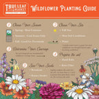 Wildflower Seeds Bulk - Meadow Wildflower Seed Mix, 5 Lbs Bulk, Annual & Perennial Wildflowers Seeds for Planting, Wild Flower & Grass Garden Mixture, Mountain Valley Seed Company