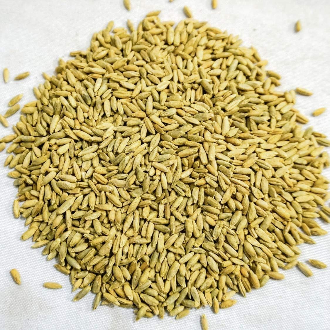Thunder Acres Organic Winter Rye Seeds, Non-GMO (1 lb)