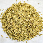 Thunder Acres Organic Winter Rye Seeds, Non-GMO (5 lb)