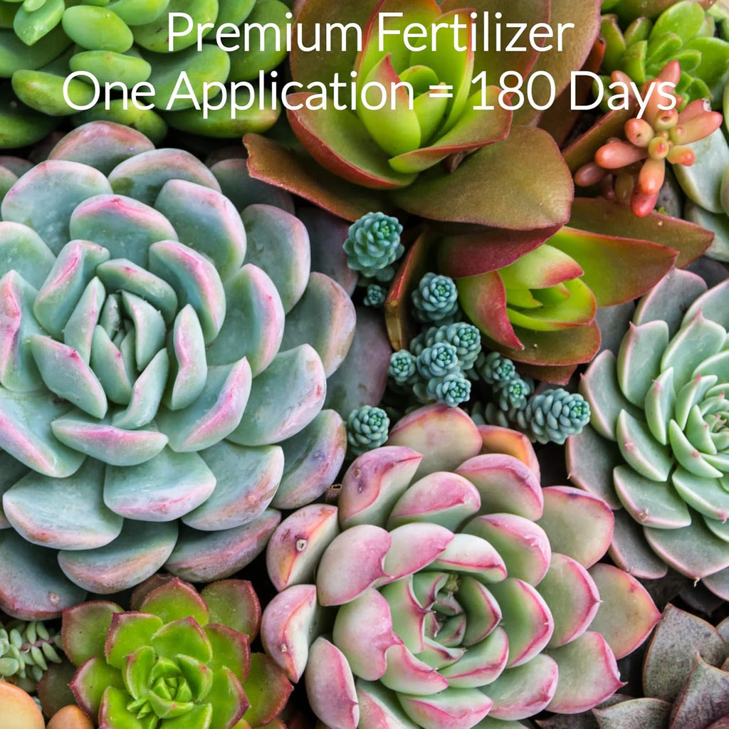 Leaves and Soul Succulent Fertilizer Pellets |13-11-11 Slow Release Pellets for All Cactus and Succulents | Multi-Purpose Blend & Gardening Supplies, No Fillers | 5.2 oz Resealable Packaging