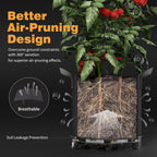 Self-Watering Grow Bags, 5-Pack 3 Gallon 420G Thick Nonwoven Fabric Pots with Reinforced Handles and Multi-Purpose Rings, for Low Stress Plant Training Fruits, Vegetables,and Flowers