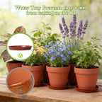 KOAMLY 6 PCS Clay pots and Plates, 5-inch red Clay pots with Drainage, Perfect for Indoor, windowsill, and Garden Plants