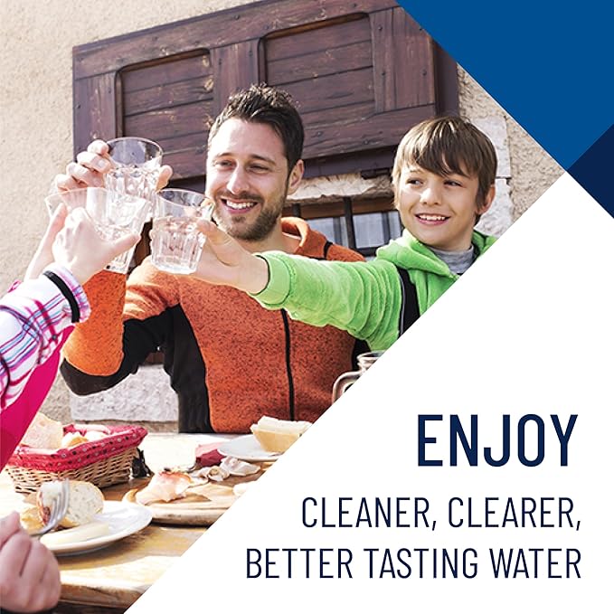 Pentair OMNIFilter TO8 Carbon Water Filter, 10" Heavy Duty Big Blue Whole House Granular Carbon Taste & Odor Replacement Filter Cartridge, 10" x 4.5", 25 Micron |(Pack of 2)