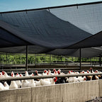 winemana Black Shade Cloth 40%, 30x50 FT Mesh Tarp - Garden Shade for Greenhouse, Patio, Vegetables, Plants Cover and Chicken Coops, Sun Shade Net for Outdoor Protection with Reinforced Grommets