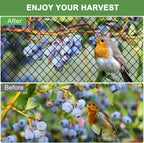 Heavy Duty Bird Netting - 3/4' Mesh Net, 25x100ft Poultry Netting for Chicken Coop, Garden Protection for Fruit Trees, Orchard Against Squirrels, Deer, Hawk