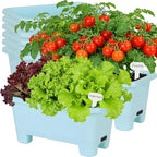 Oliz Self-Watering Rectangle Planter Boxes 8-Pack, 15.7-Inch Window Box Planter with Drainage Holes & Trays, Pots for Vegetables, Herbs, Flowers, Garden Windowsill Balcony (Sky Blue)