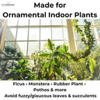 Leaf Shine Spray for Indoor Plants – Plant Leaf Cleaner & Shine for Real House Plants – Fragrance-Free, Non-Sticky, Streak-Free Finish, 8 fl oz