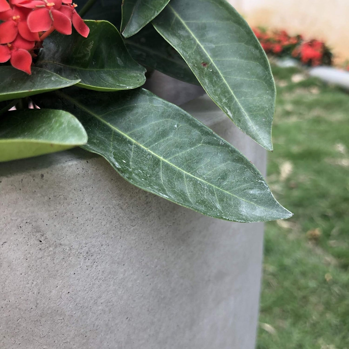 Kante 18 Inch Dia Round Concrete Planter, Indoor Outdoor Large Plant Pot with Drainage Hole and Rubber Plug for Home Patio Garden, Weathered Concrete