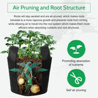 JERIA 24-Pack 5 Gallon Nonwoven Grow Bags, Plant Grow Bags，Heavy Duty Aeration Fabric Pots with Durable Handles, Come with 24 Pcs Plant Labels