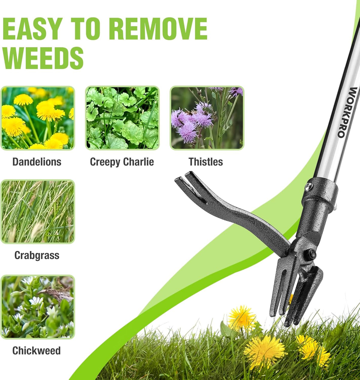 WORKPRO Weed Puller Tool with Long Adjustable Handle (33", 46"), Stand Up Heavy Duty Weed Remover- 4 Claw Steel Head & Foot Pedal for Easy Weeding, Detachable Dandelion Picker for Lawn/Yard/Garden