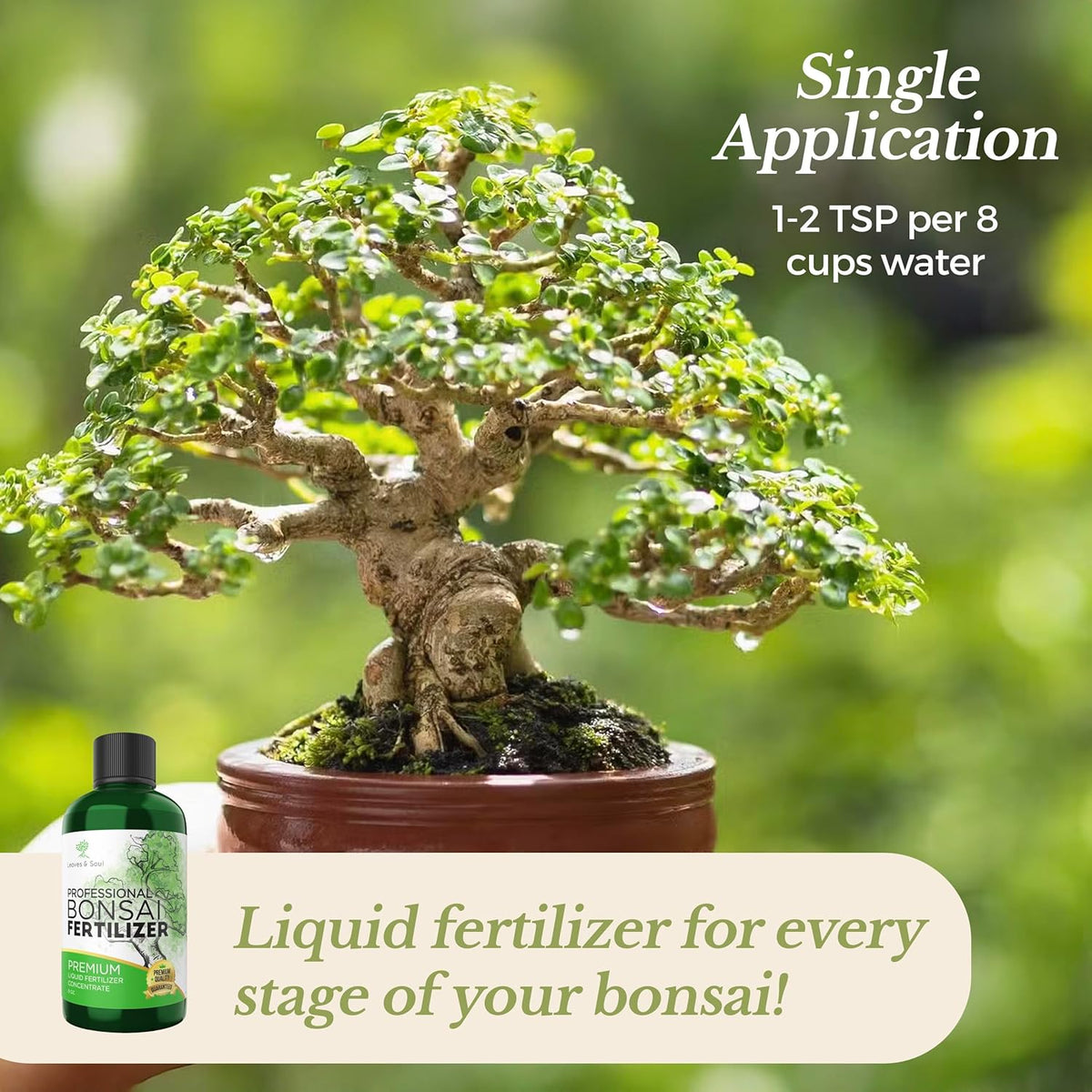 Professional Liquid Bonsai Plant Fertilizer | 3-1-2 Concentrate for Bonsai Plants and Trees | Multi-Purpose Blend & Gardening Supplies | 8 oz Bottle