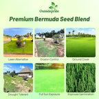 Outsidepride Oasis Bermuda Grass Seed - 5 lbs Warm Season, High Traffic, Heat Resistant, Drought-Tolerant, Low-Maintenance, Fast Growing Turf Grass for Lawn, Ideal for Sunny Areas, Thick Coverage