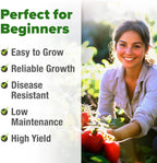 HOME GROWN San Marzano Tomato Seeds – 132 Heirloom, 𝗡𝗢𝗡-𝗚𝗠𝗢, 𝗨𝗦𝗔-𝗦𝗢𝗨𝗥𝗖𝗘𝗗 Seeds – High Germination Tomatoes for Indoor & Outdoor Growing – Classic Paste Variety for Gardeners & Home Use