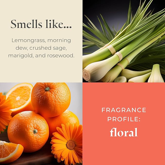 PartyLite Wild Sage & Rosewood Scented, Notes of Sage Leaf, Rosewood, Geranium Petals and Lemongrass, 13.2oz 3-Wick Jar Candle, 45 Hour Burn Time, Luxurious Fragrance, Ideal for Gifting