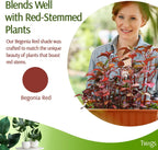 Plant Support Stakes, Stem Holder Structures for Indoor & Outdoor Use, Garden Accessories for Climbing & Potted Plants, Trellis Alternative - Begonia Red, 10 Pack, 22" L, Original