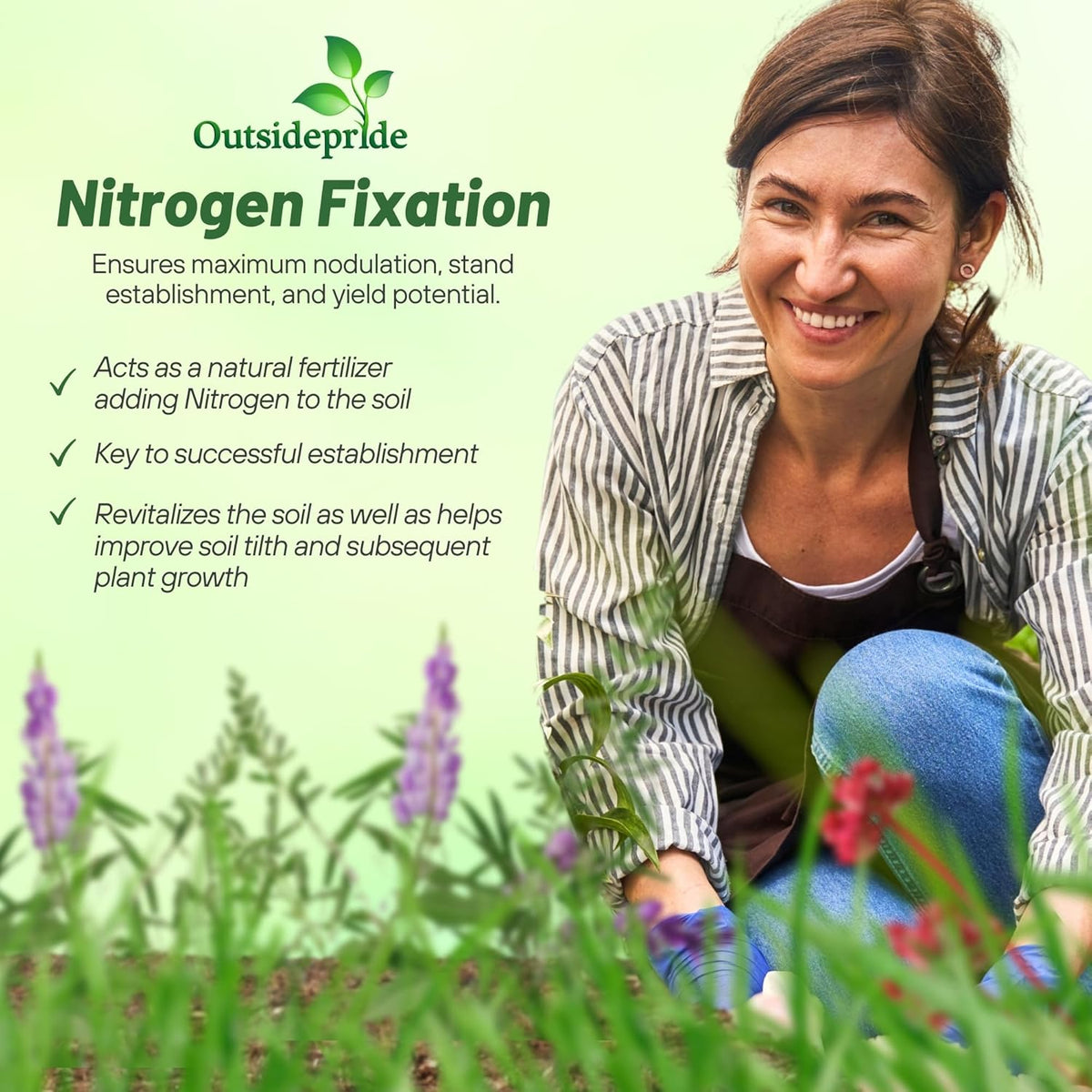 Outsidepride Gardenway Cover Crop Seeds - 25 lbs Nutrient-Rich Seed Mix for Soil Health Improvement & Home Gardens - Mixture of Triticale, Peas, Oats, Vetch, Annual Ryegrass, Crimson Clover
