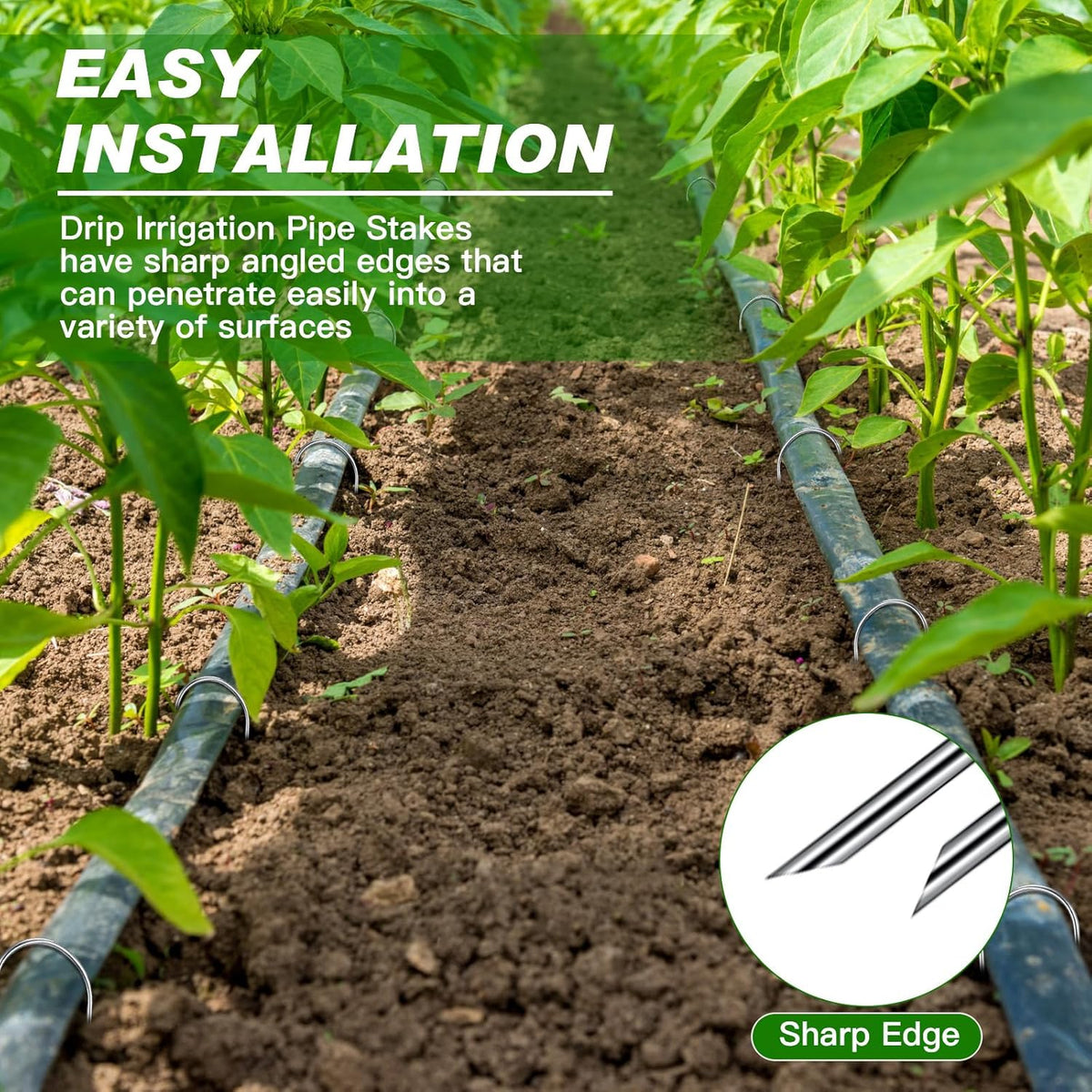 Tandefio 200 Pack Drip Irrigation Tubing Stakes 6 Inch Garden Pins Landscape Staples Securing Pegs Galvanized Lawn Yard U Pegs for Hose, Chicken Wire, Weed Barrier Fabric, Dog Fence